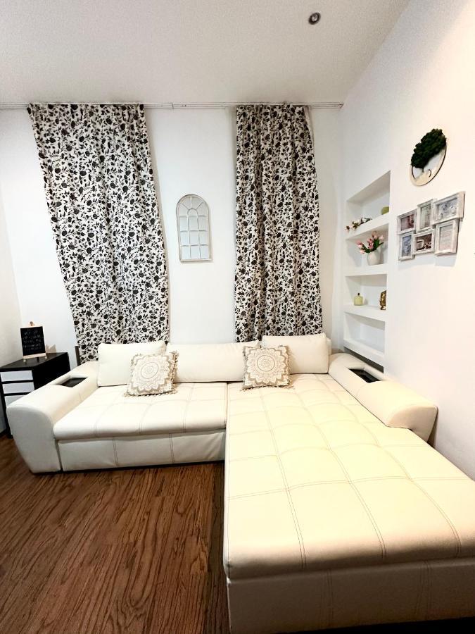 Harmony Homes- Piata Unirii Central Apartament Apartment