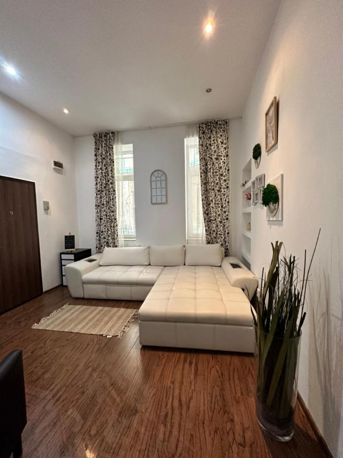 Harmony Homes- Piata Unirii Central Apartament Apartment